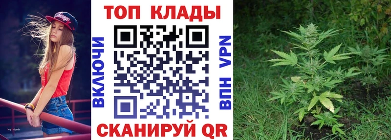 Наркошоп купить А ПВП  Мефедрон  Cocaine  Гусев