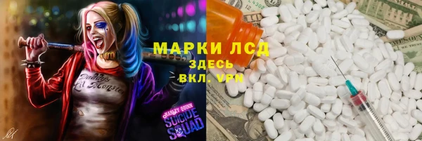 PSILOCYBIN Каменка