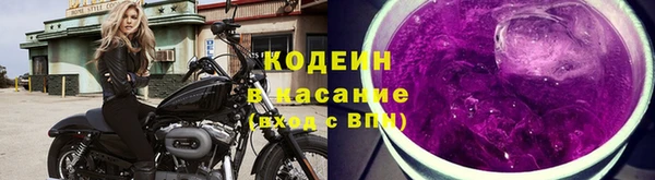 прущие грибы Инта
