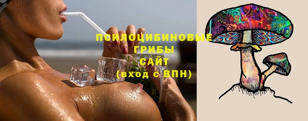 шишки Каменногорск
