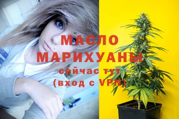 шишки Каменногорск