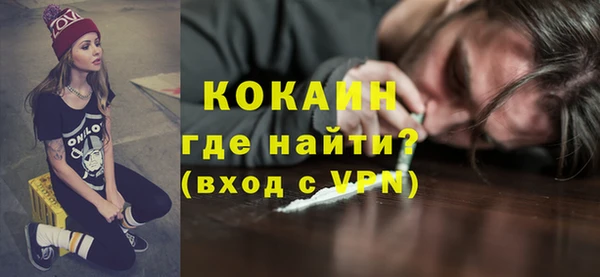 шишки Каменногорск