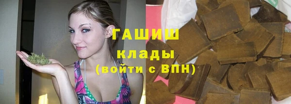 шишки Каменногорск