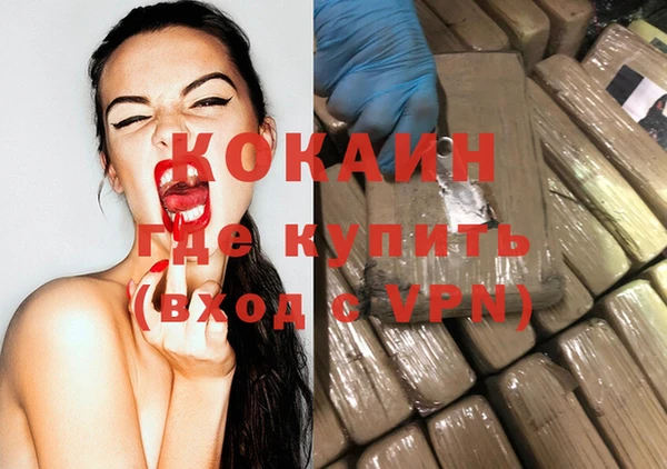 шишки Каменногорск