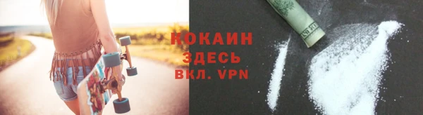 PSILOCYBIN Каменка