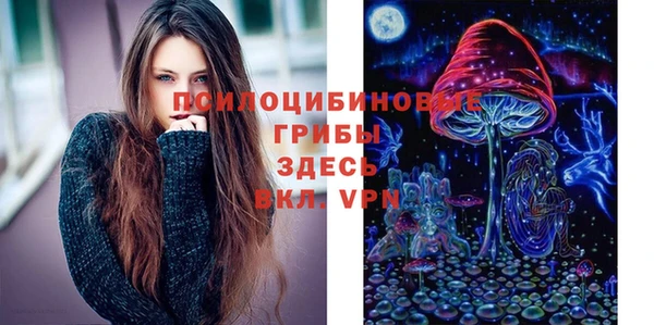 шишки Каменногорск