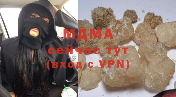 прущие грибы Инта