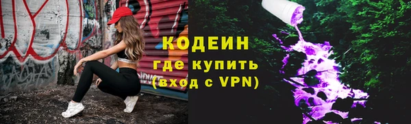 шишки Каменногорск