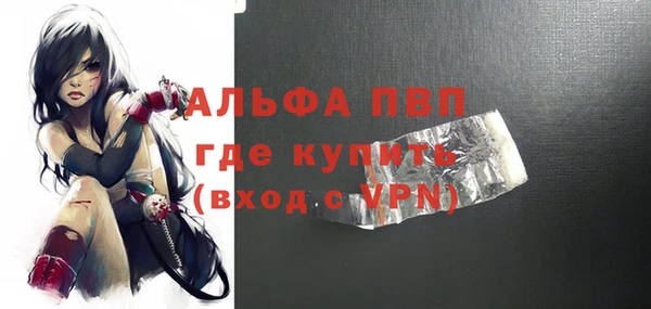 шишки Каменногорск