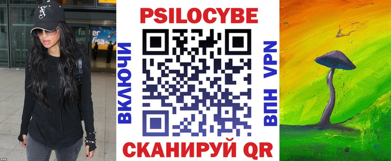 Галлюциногенные грибы Psilocybe  Купить  Гусев 